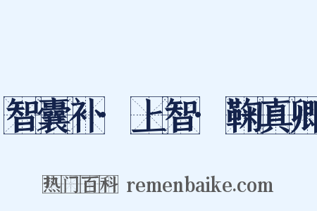 智囊补·上智·鞠真卿是什么意思的图片